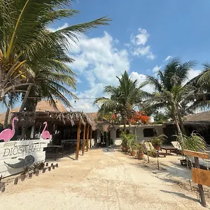 La Diosa Kali Front Hotel Holbox